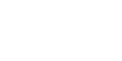 Ability Options logo