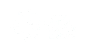 HMRI logo