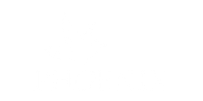 Phoenix Foundry logo